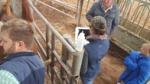 Wearproof Portable Ultrasound Machine Sheep Ultrasound Scanner 12.1 Inch SVGA