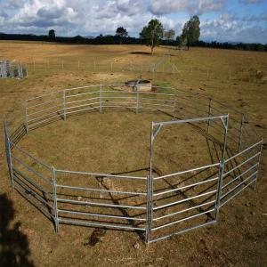 China Portable Horse Stall Panels 30 METER Heavy Duty 6 Oval Rail - Cattle Yard Victoria wholesale