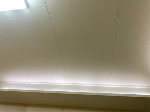 China Vessels Marine Ply Ceiling Panels 3000mm 550mm 25mm wholesale
