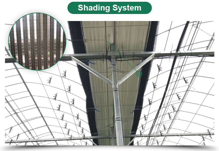 Automatic Controlling System Single Layer Greenhouse for Commercial Korean Model Film