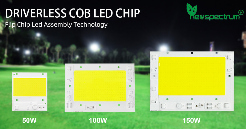 100w 150w Ac Cob Led Chip Linear Driver Free COB Light Source