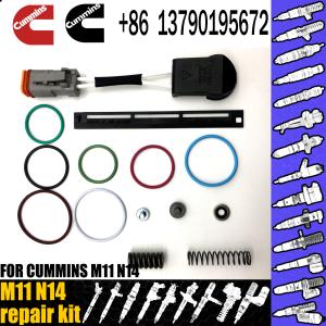 China M11 N14 Injector Repair Kit Diesel Car Diesel Auto Parts Injector Seal wholesale