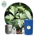 Natural Pure Artemisia Argyi Essential Oil Whole Body Massage Oil Whitening Spa