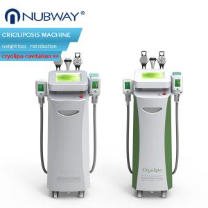 China 2014 Newly-launched!!! Cavitation Vacuum RF Cryo price Cryolipolysis wholesale