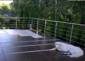 China Outdoor Building Railing , 8mm SS316 Stainless Steel Rod Railing Anti Corrosion wholesale