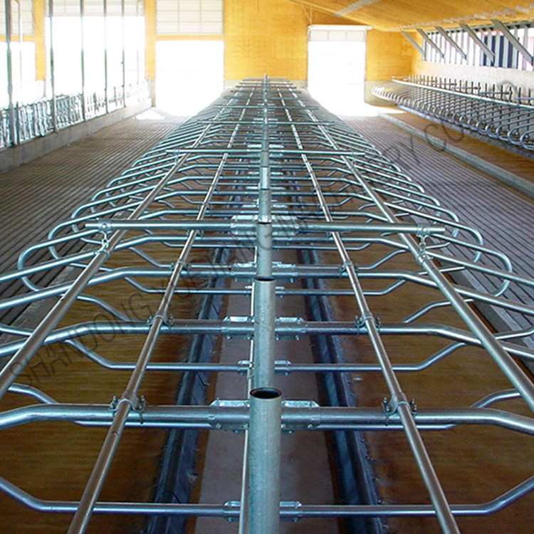 Cattle 9JY Type Acid Proof Free Stall Dairy Barn for Livestock