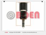 21006084 0445120139 0445120074 Bosch Diesel Fuel Injectors For Excavator Fuel