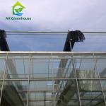 Commercial Multispan Large Venlo Glass Greenhouse Hot Galvanized Steel Frame