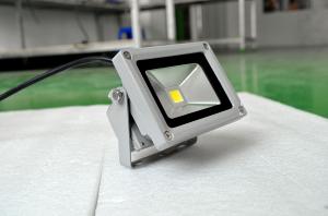 China 10W led floodlight wholesale