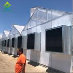 PE Film 220V Auto Light Dep Greenhouse 100% Blackout High Tunnel Greenhouse