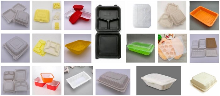 Recycled Plastic Disposable Lunch Box Making Machine Molding Biodegradable