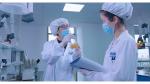 Medicine Grade Microcrystalline Cellulose Mcc 102 for Tablet and Capsul Diluent