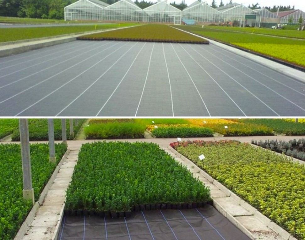 100% Polypropylene Agriculture Non Woven Fabric Weed Control Ground Cover Net Mesh Cloth