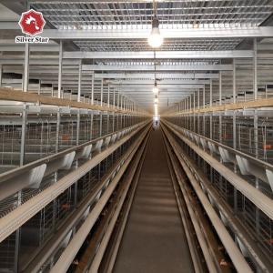 China H Type Chicken Poultry Cage Coops Automatic Battery Cages wholesale