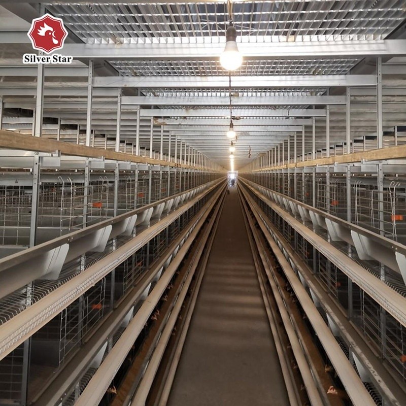 1950×2300×2000 Poultry Farm Laying Hens Cage A Type 3,4 Tiers Egg Layer Chicken Cages For Chicken Coops