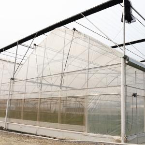 China Outdoor Farming Multi-span Agricultural Vegetable Berry Film Poly Tunnel Greenhouse wholesale
