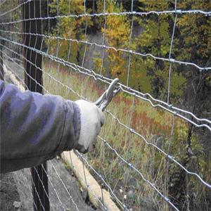 China Grassland Hinged Joint Knot 6 Foot Tall Wire Fencing Hot Dipped Galvanized Farm Supply wholesale