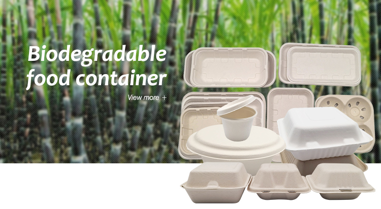 Eco Friendly Food Biodegradable Bagasse Tableware Sugarcane Containers For Camping