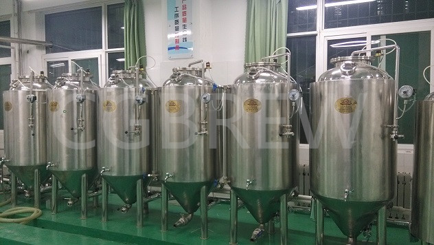 200L mini brewery equipment draught beer system