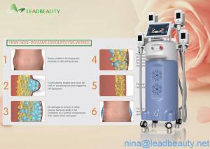 China 0kpa-100kpa Vacuum 4 Big heads cryolipolysis slimming machine wholesale