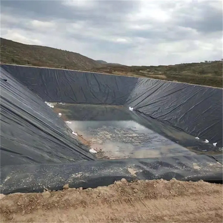 Asian Design Style Fish Pond Rubber Lining Pool Liner Geomembranes HDPE Onsite Training