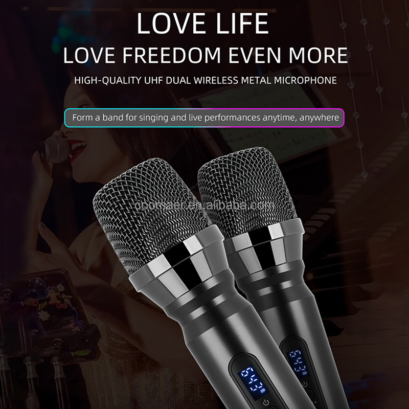 Home Karaoke BT Speaker With Wireless Mic and DC Power Source for Boobox Speakers
