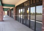 Doors Coated Tempered Safety Glass Decorative Curved Toughened Glass