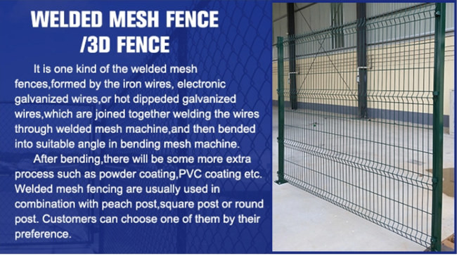 3D Curved Powder PVC Coated Wire Mesh Fence Galvanized 200×65mm 4.5mm