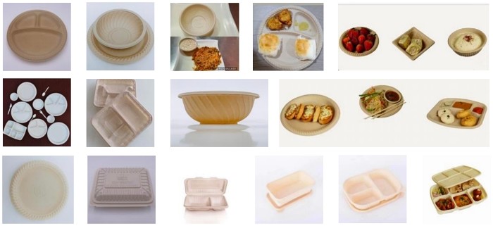Ps Disposable Lunch Box Making Machine Automatic