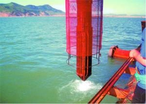 China IP65 Electric Vibration Pile Driver 50 Kg Black &amp; Grey wholesale