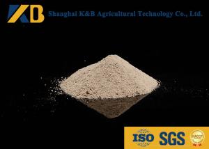 China Animal Nutrition Supplements / White Rice Protein Powder High Biological Value wholesale