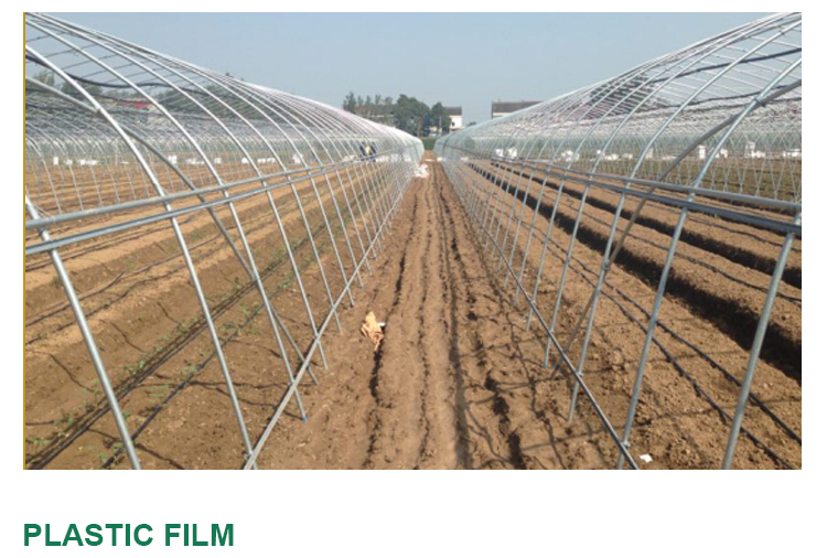 High Tunnel Agricultural Greenhouse for Tomato Cultivation Single Layer Film Cover