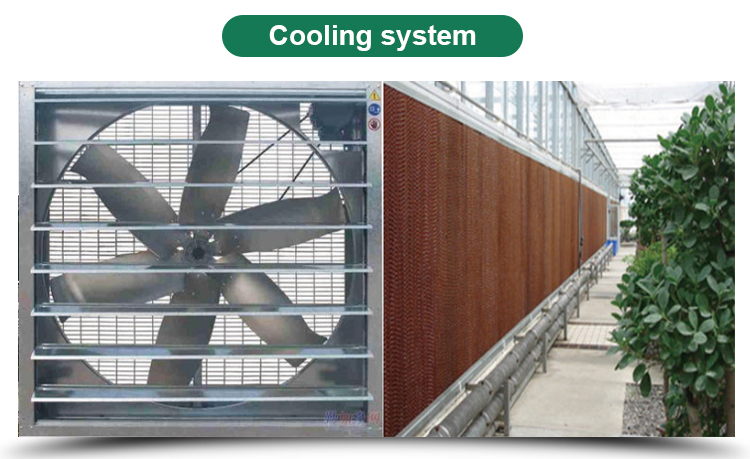 Ventilation Sides Ventilation Blackout Film for Mushroom Greenhouse Manufactured by LITAI