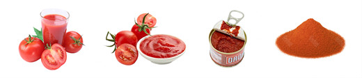 Tomato Sauce Processing Line Customized tomato products processing plant complete set of machines