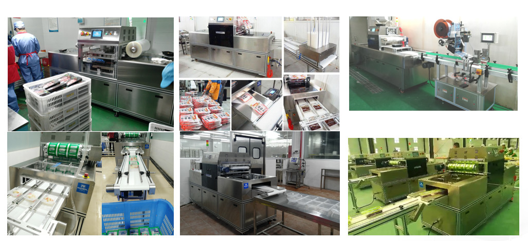 304 SS Skin Packaging Equipment Map Tray Sealer Machine To Vacuum Pack Food