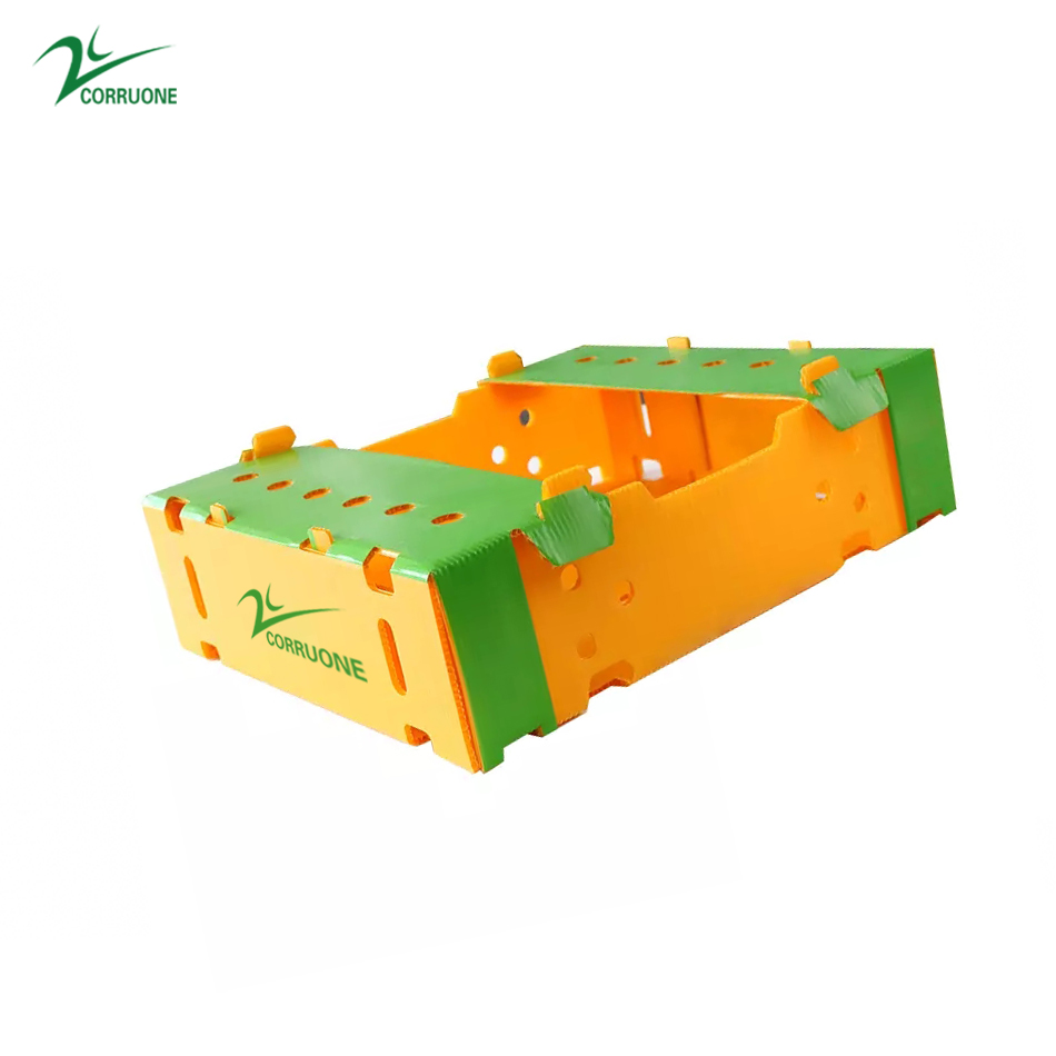 Black Corriflute Fruit Corrugated Boxes Corrugated Plastic Storage Containers