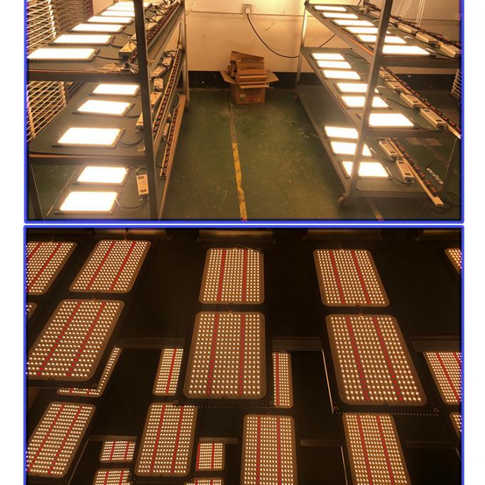 IBoard 120 AC100V Dimmable LED Grow Lights 2