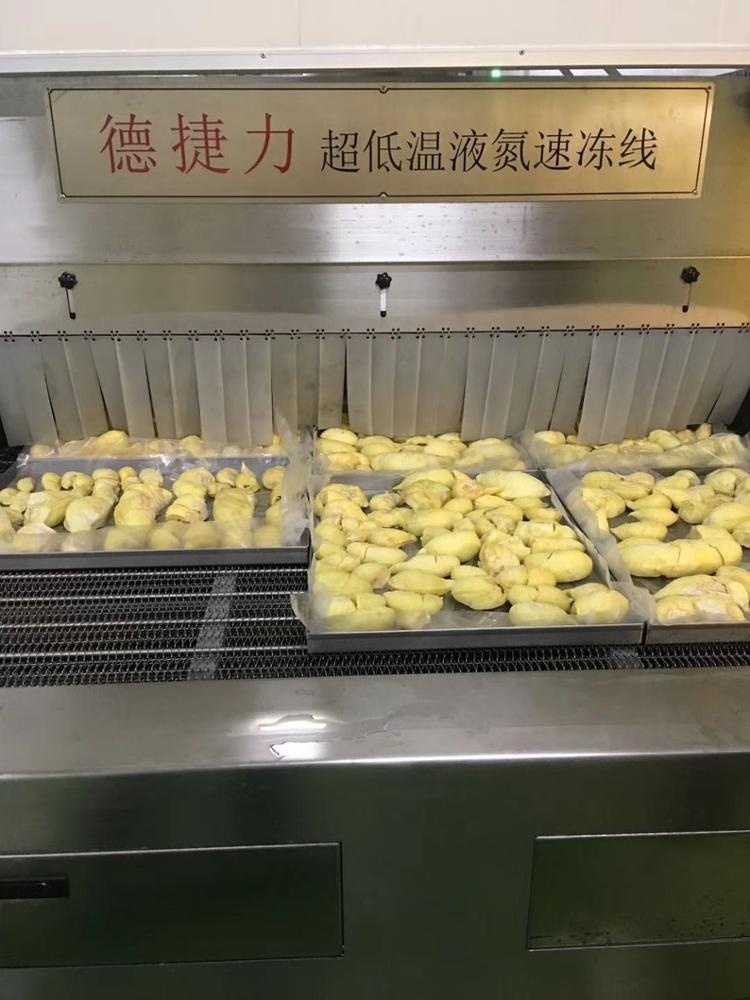 1800 KG/H Liquid Nitrogen Tunnel Freezer