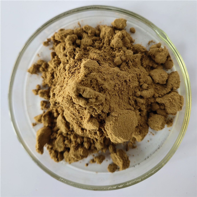 gmp energy supplement white tea extract in bulk stock