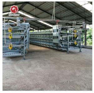 China 3-9 Floor Farm Battery Chicken Cage With Automatic System wholesale