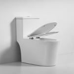 Ceramic Siphonic Flushing Toilet One Piece Sanitary Ware Bathroom Toilet