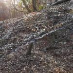 Multispectral Camouflage Net Hunting Camo Net Roll Thermal Polyester Game