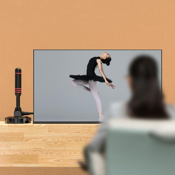 Indoor Outdoor Satellite Amplified Digital Hdtv Car Tv Antenna for 75Ω Input