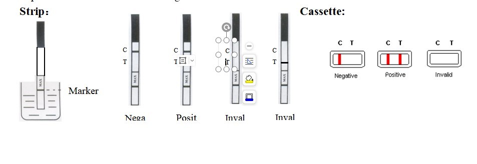 OEM Troponin CTn I Rapid Test Kit Pathological Analysis Equipment