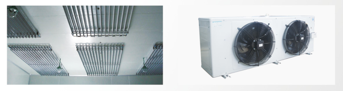 Icemedal Blast Walk In Freezer Room For Fish Meat Vegetable 220v/60hz/3ph