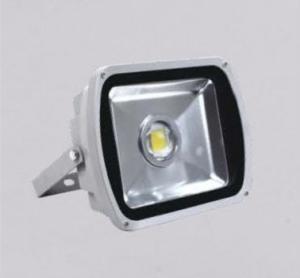 China 60W led outdoor lights IP65 supplier wholesale