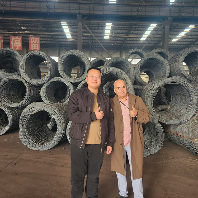 Silver Bright Galvanized Steel High Tensile Line Hot Dipped GI Wire 12 Gauge 4mm Building Materials Free Cutting Steel