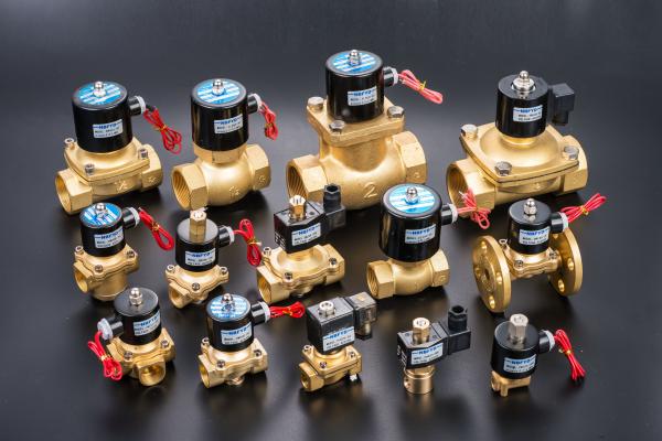 Hydraulic Electric Brass Solenoid Valve 12V 24V 110V 220V AC DC Water Copper
