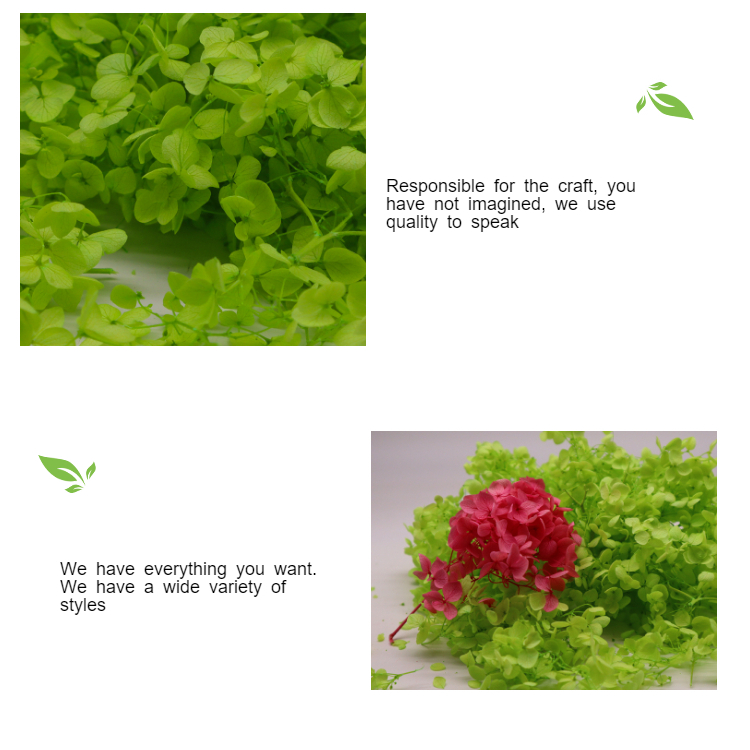 Beautiful multicolored Preserved Flower Hydrangea Bouquet Wholesale Preserved Foliage Preserved Big Leaf
