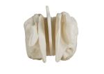Anatomical Amplified Ethmoid Bone Model For Medical Training